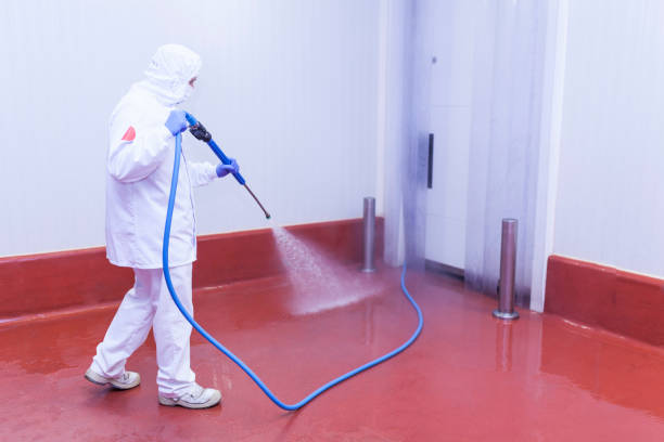 Best Paint Preparation  in Southmayd, TX