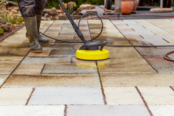 Best Roof Washing  in Southmayd, TX