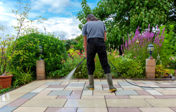 Best Sidewalk and Walkway Cleaning  in Southmayd, TX